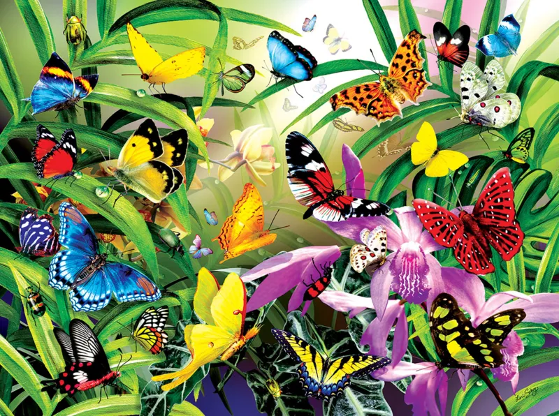 Lori Schory - Tropical Butterflies