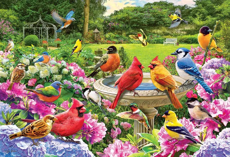Rassemblement D'Oiseaux