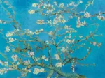 Vincent Van Gogh - Almond Blossom, 1890