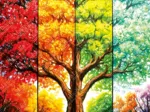 Tree in Autumn
