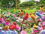 Rassemblement D'Oiseaux