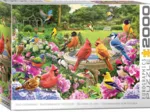 Rassemblement D'Oiseaux