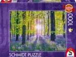 Tapis de Campanules dans les Bois