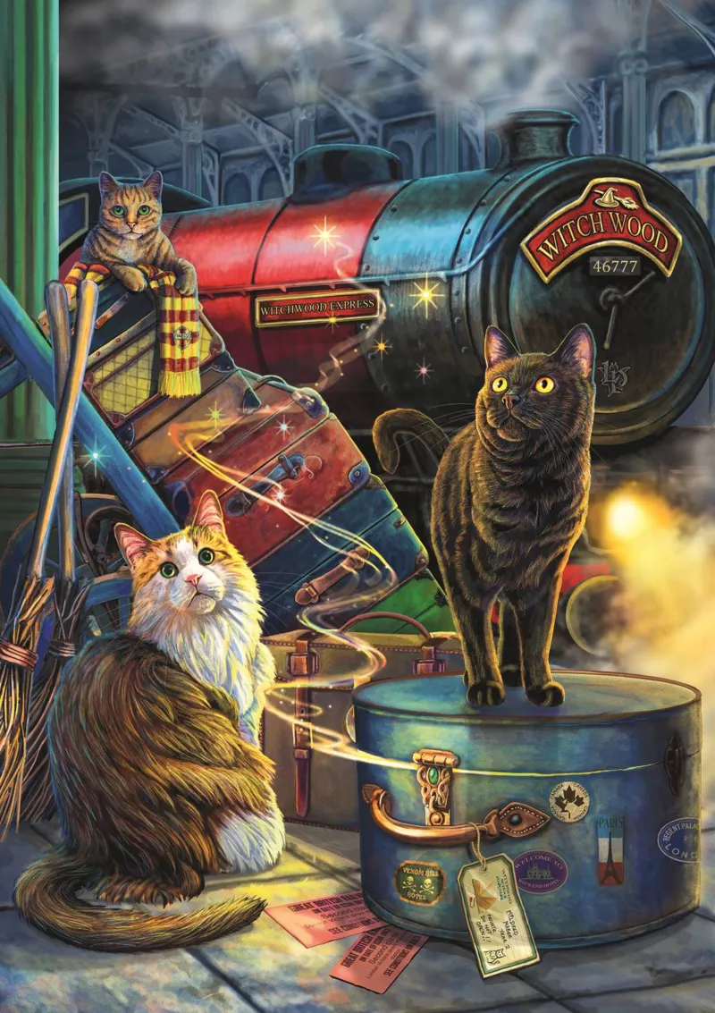 Collection Magique : Bois De Sorceau Express