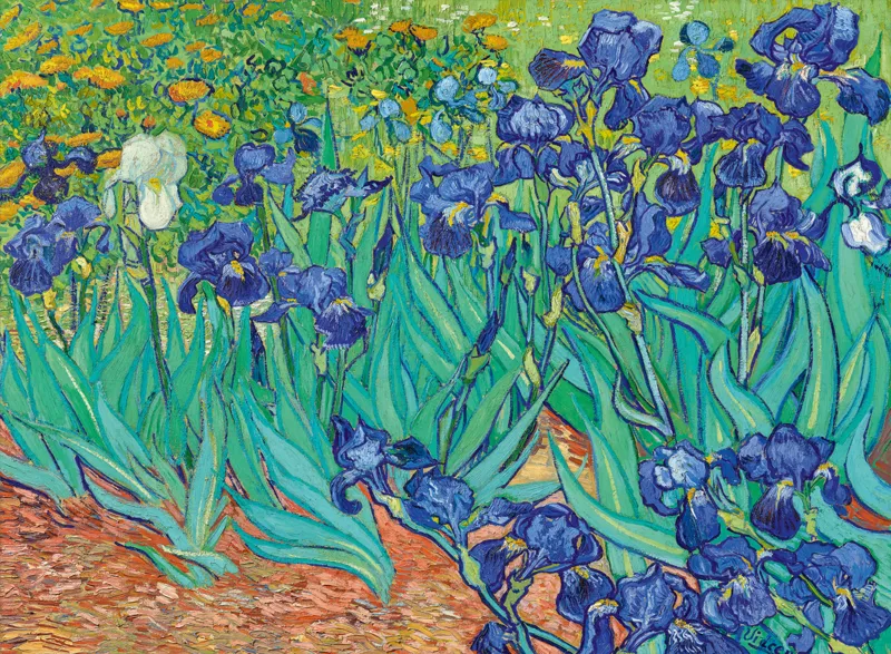 Vincent Van Gogh - Les Iris, 1889