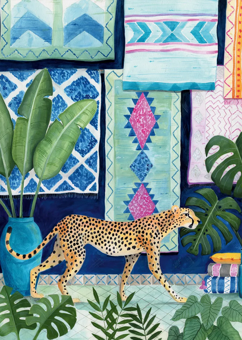 Guépard au Maroc