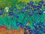 Vincent Van Gogh - Irises, 1889