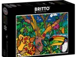 Romero Britto - Amazon