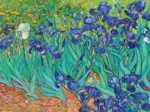 Vincent Van Gogh - Les Iris, 1889
