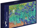 Vincent Van Gogh - Les Iris, 1889